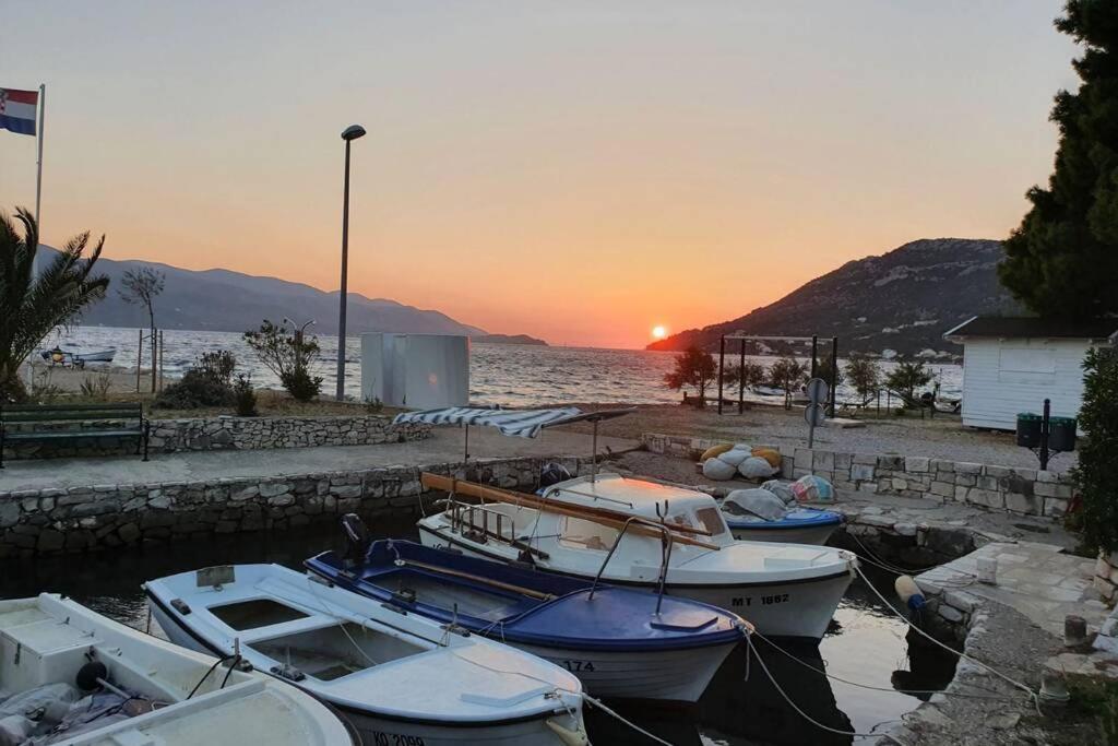 Apartment Mareta In Viganj Εξωτερικό φωτογραφία